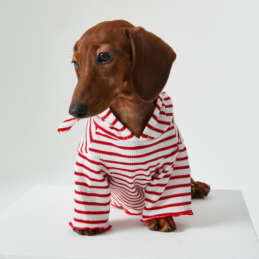 Dog Cat Pet Clothes Striped Hooded CAT Two Feet Apparel