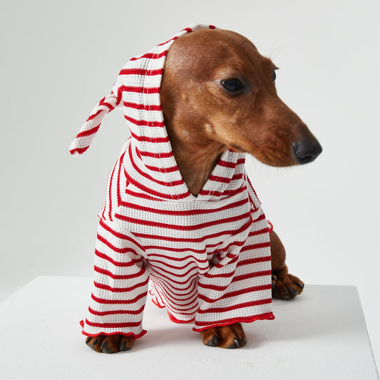 Dog Cat Pet Clothes Striped Hooded CAT Two Feet Apparel